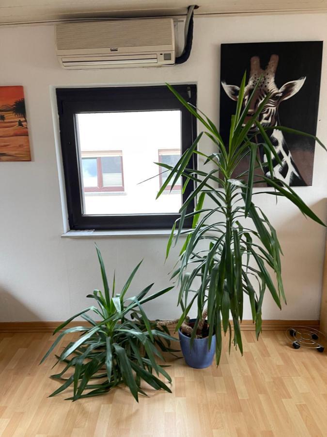 Monteurwohnung - Ferienwohnung Naehe Limburg An Der Lahn Flacht Zewnętrze zdjęcie
